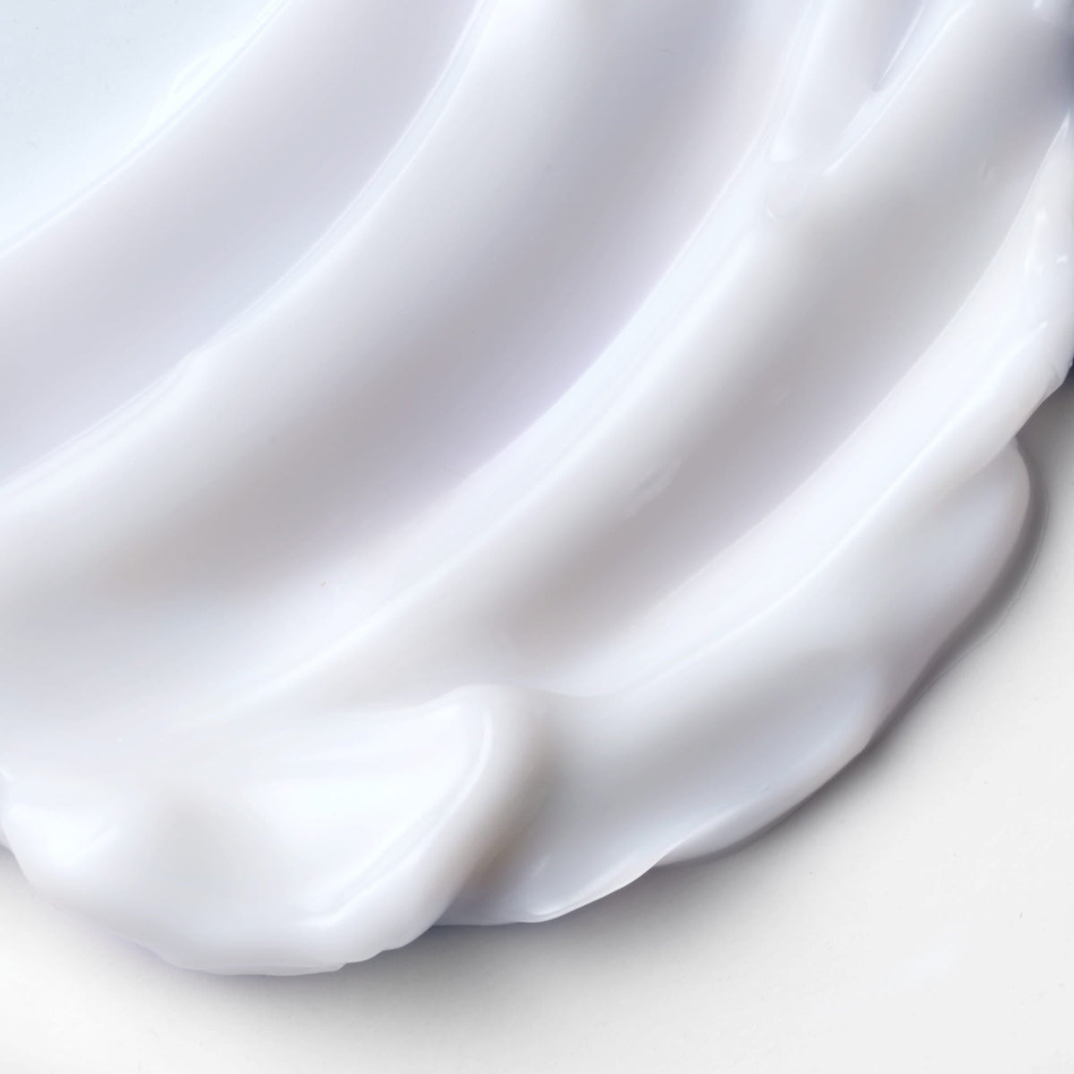 coconut palm body cream Coconut Palm Buttery Body Cream