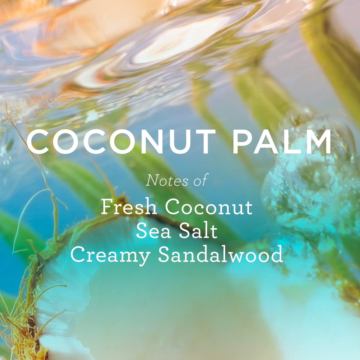 Coconut Palm Eau de Parfum