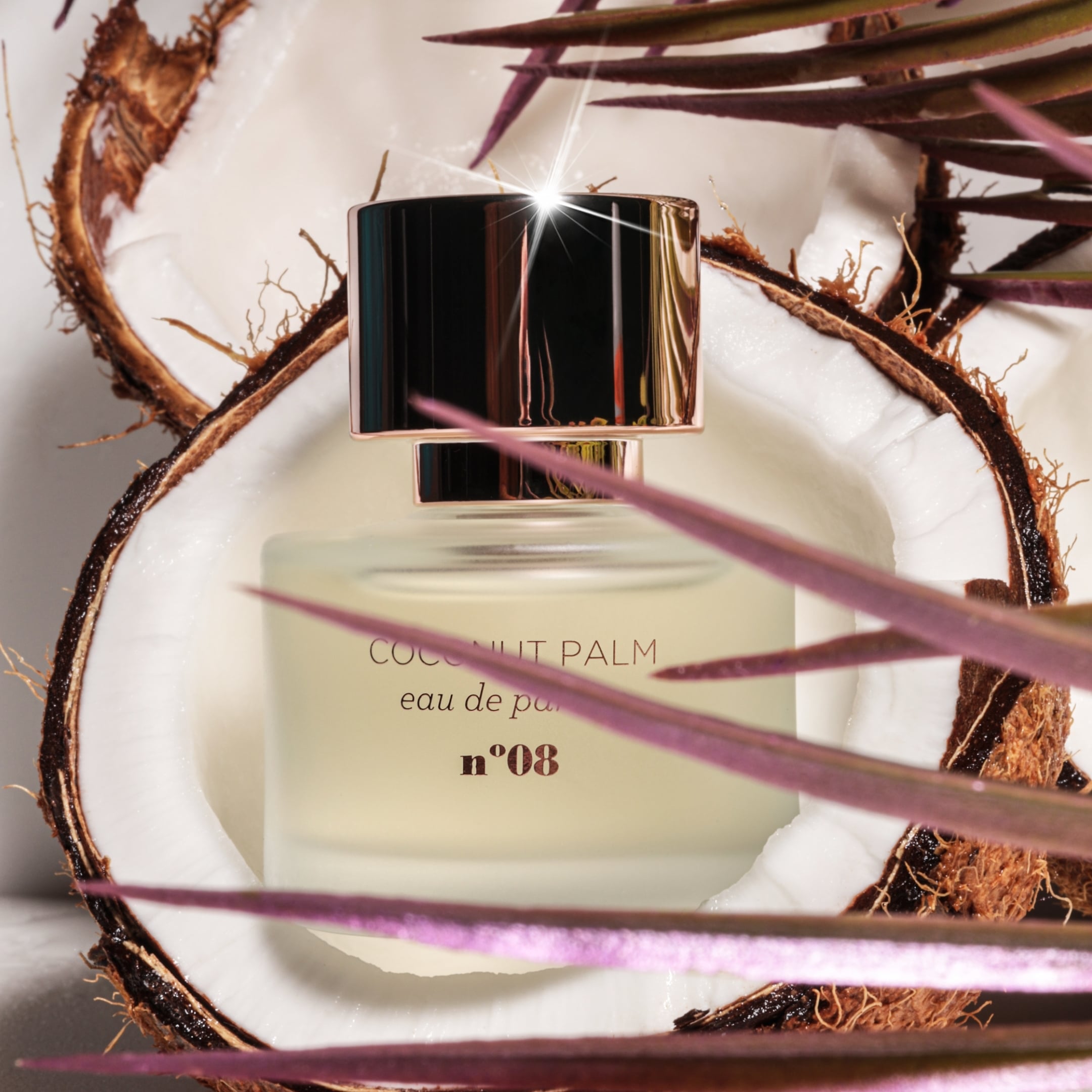 Coconut Palm - Mix:Bar