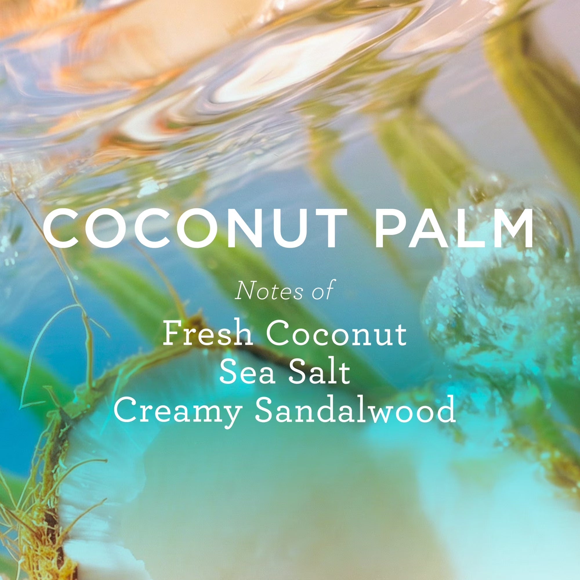 coconut palm mix bar Coconut Palm Eau de Parfum